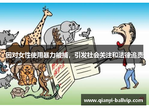 因对女性使用暴力被捕，引发社会关注和法律追责