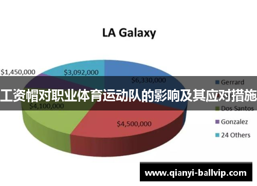 工资帽对职业体育运动队的影响及其应对措施
